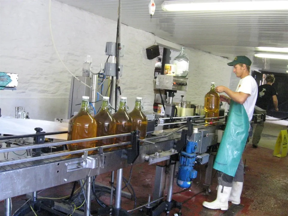 Day 5 healeys cyder farm production 2